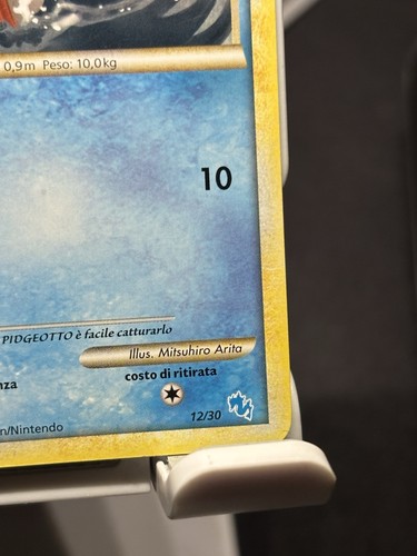 Nintendo pokémon magikarp - nintendo,