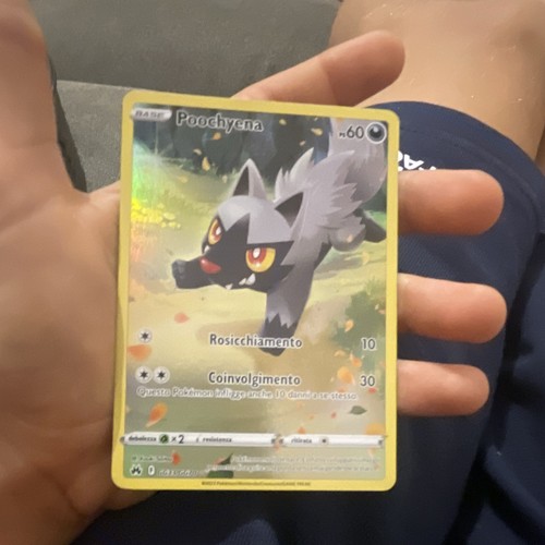 The pokémon company poochyena - the,